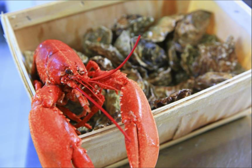 Capture d’écran 2025-12-12 à 12.13.34